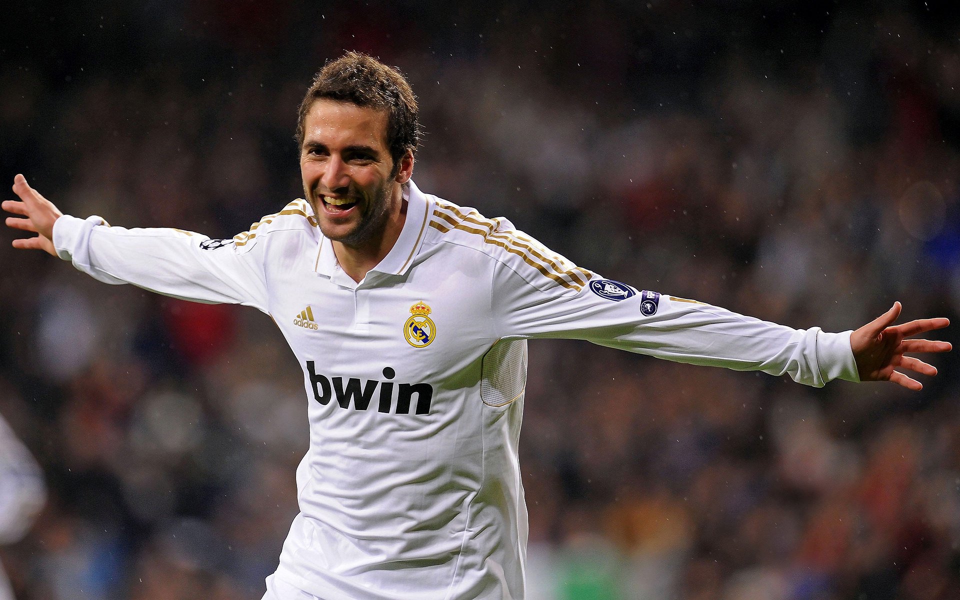 体育赛事年度趋势分析