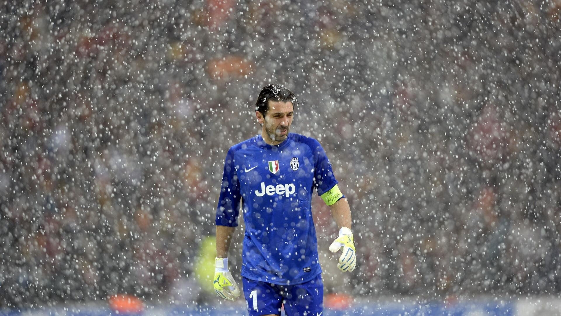 体育赛事观众行为研究